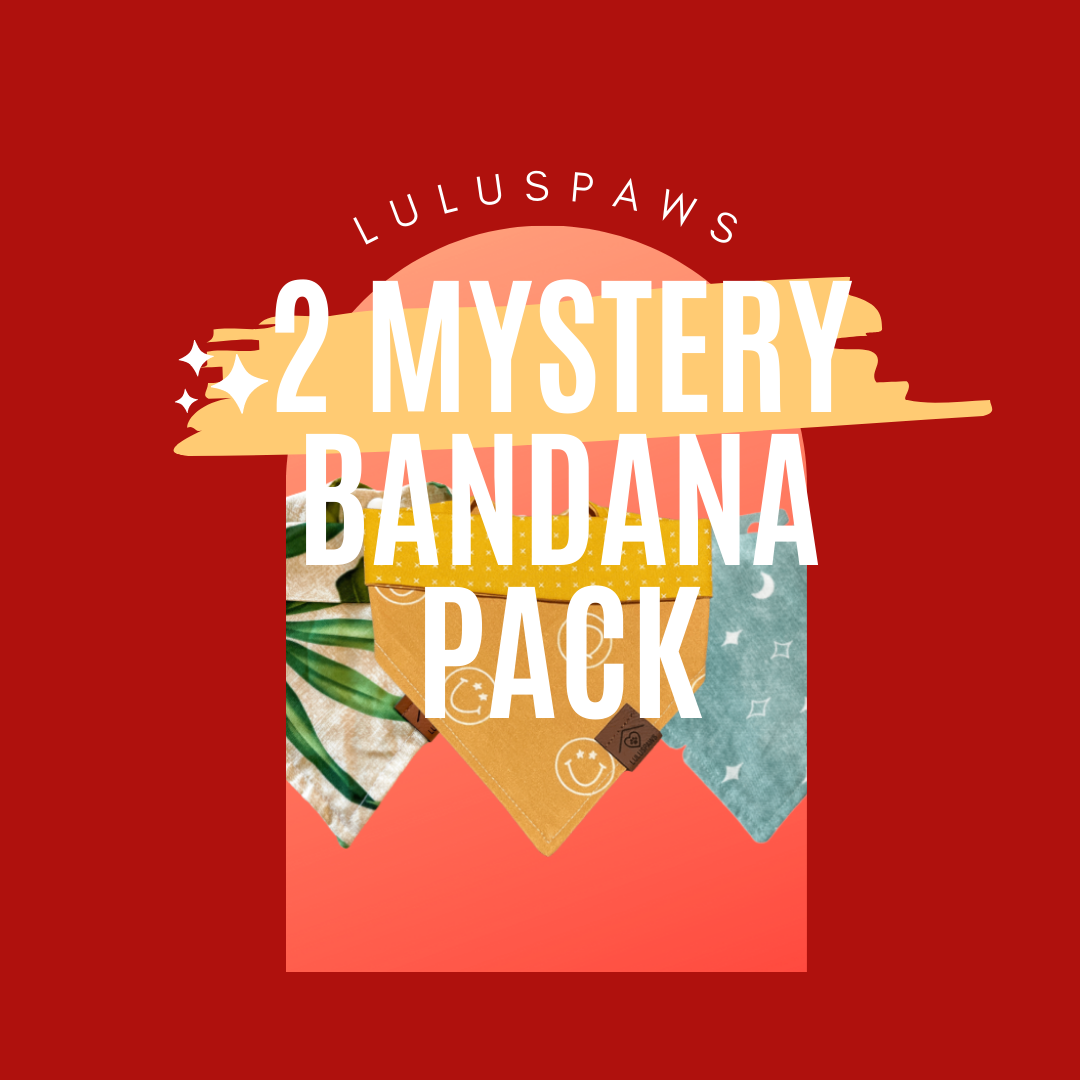 Mystery Bandana- 2 pack